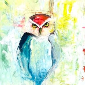 Shoco Owl