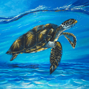 Turtle in blue water