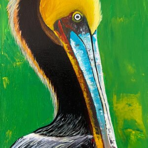Pelican