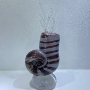 Violet ammonite
