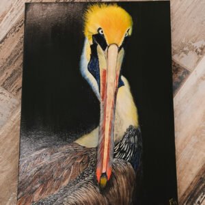Angry Pelican