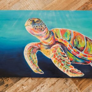 Rainbow Turtle