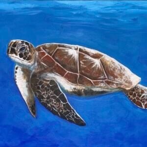 painting - Nos Turtuga