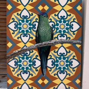 Colibri duo