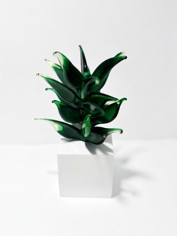 Botanica Altera