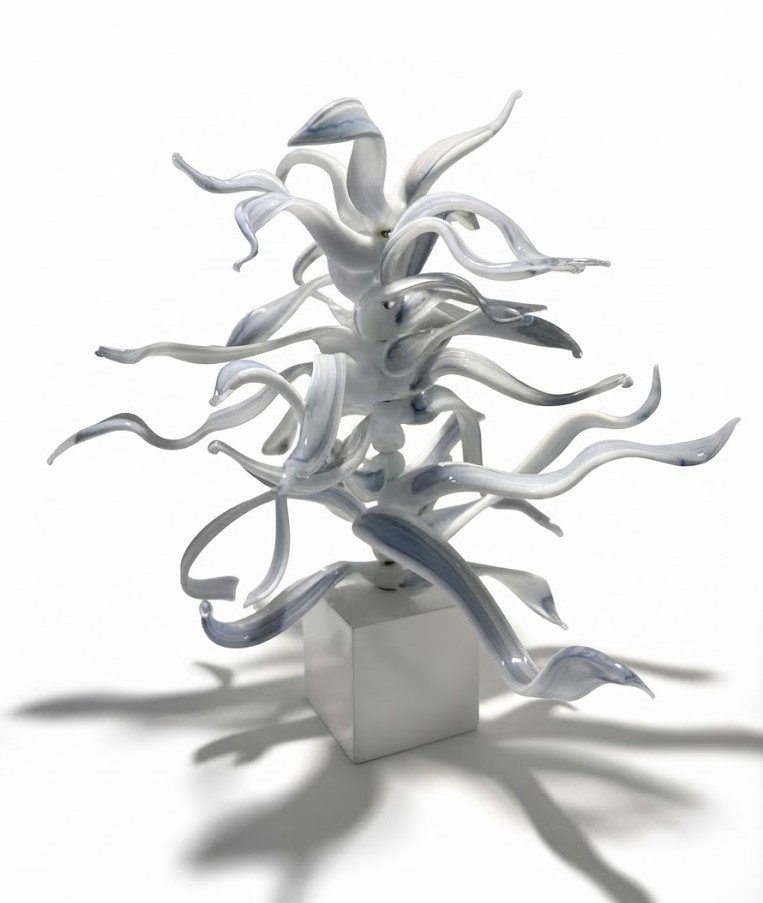 Flora Curiosa