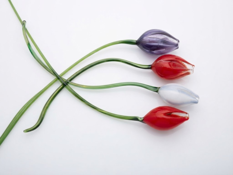 Glass tulip Red Purple