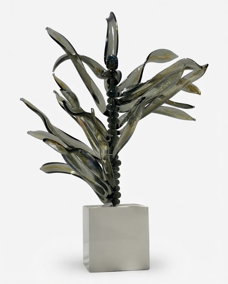 Spina Lucida